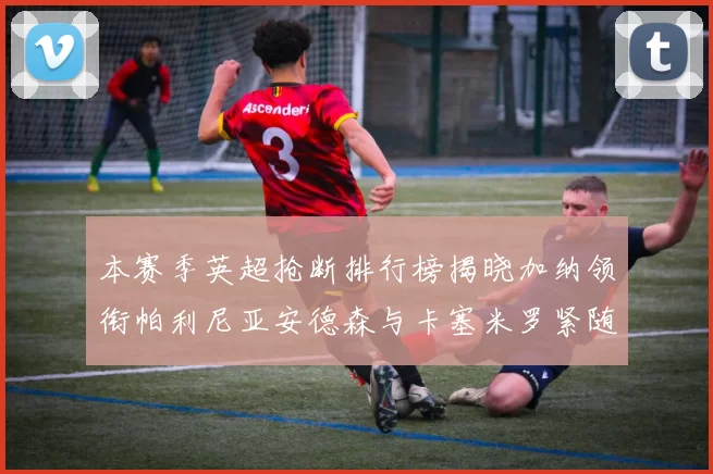 本赛季英超抢断排行榜揭晓加纳领衔帕利尼亚安德森与卡塞米罗紧随其后